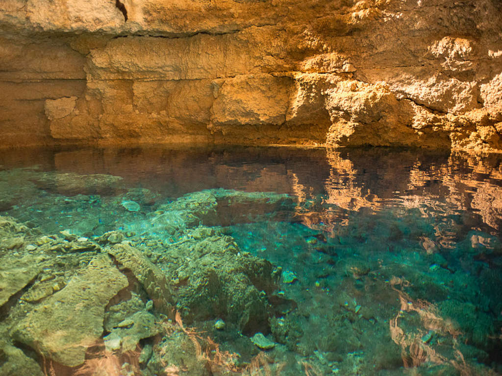 3 Cenotes & 1 Lagoon